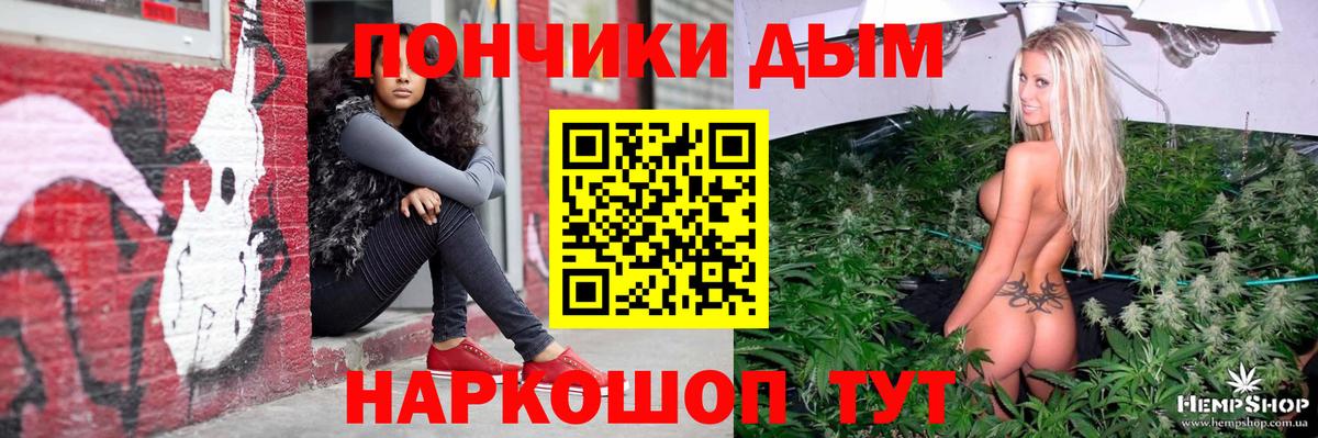 Канабис план Тавда